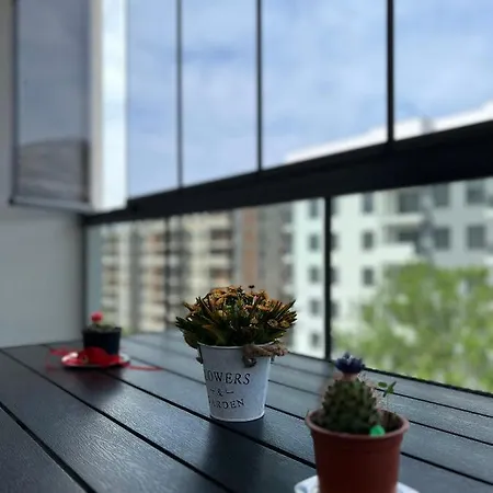 Apartman Lux Nina *